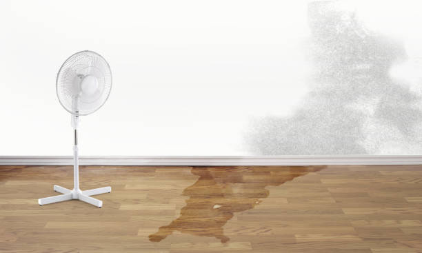  Stratmoor, CO Water damage restoration Pros
