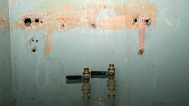 Reliable CO Water damage restoration Solutions