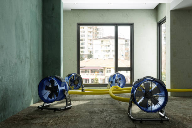 Best Commercial water damage restoration  in Stratmoor, CO